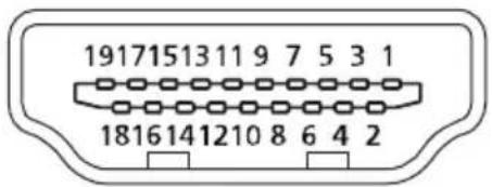 191715131197531 18161412108642