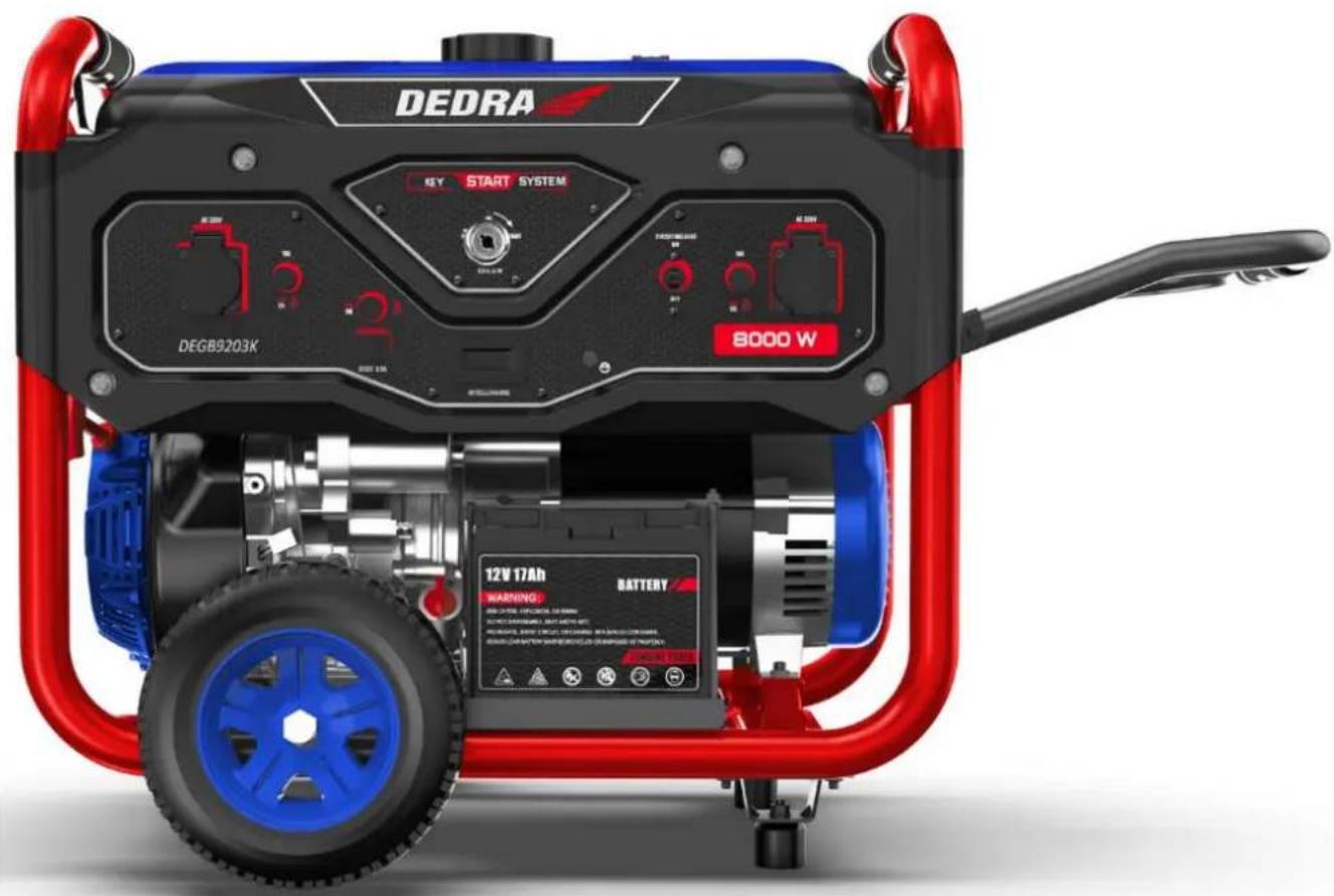 DEDRA KEY START SYSTEM DEGB9203K 8000 W 12V 17Ah WARNING BATTERY