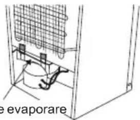 evaporare