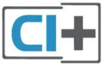 CI+