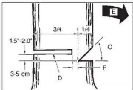 1.5"-2.0" 3-5 cm 3/4 1/4 C D F E