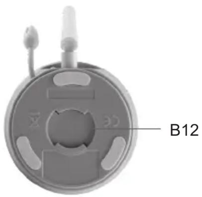 B12