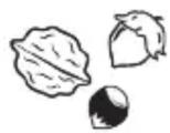 Eta Gratus Evo 1028 90092 - II.17. NUTCRACKER (V) - 1
