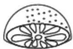Eta Gratus Evo 1028 90092 - Description (Fig. 15) - 1