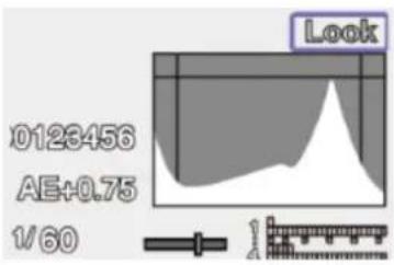 0126456 AE+0.75 1/60 Look