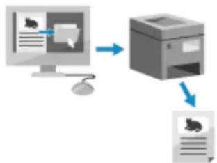 graph TD A["Input Image"] --> C["Printer"] B["Computer monitor"] --> C C --> D["Output Document"]
