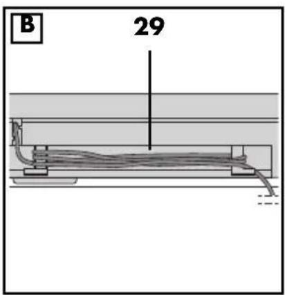 B 29