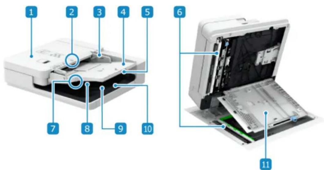 CANON imageFORCE 8186 - Podavač pro dvoustranný jednoprůchodový tisk - 1