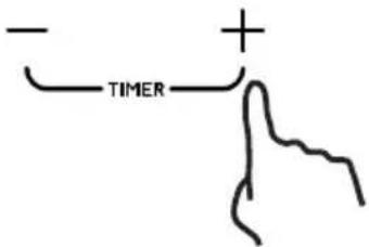 - TIMER +
