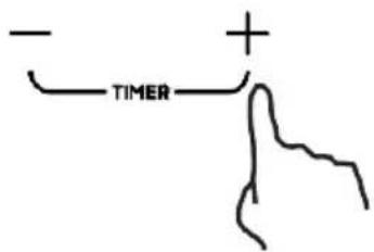- TIMER +