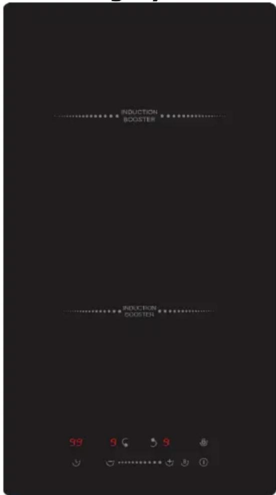 INDUCTION BOOSTER INDUCTION BOOSTER 99 9 9 9 ①