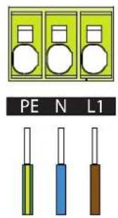 PE N L1