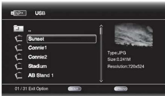 USB .. Sunset Connie1 Connie2 Stadium AB Stand 1 Type: JPG Size:0.241M Resolution:720x524 01 / 31 Exit Option OK/OK OPTIONS