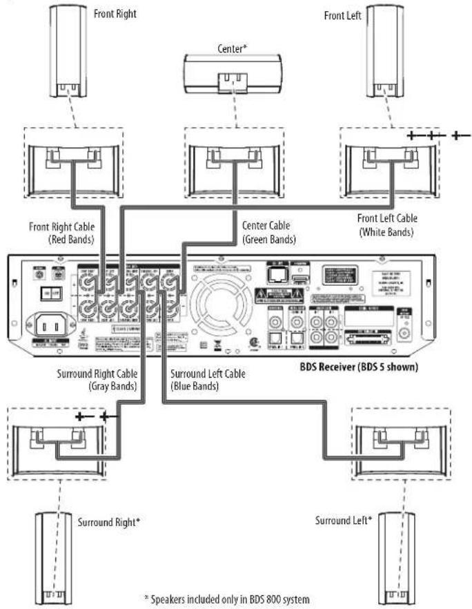 Front Right Center* Front Left Front Right Cable (Red Bands) Center Cable (Green Bands) Front Left Cable (White Bands) Surround Right Cable (Gray Bands) Surround Left Cable (Blue Bands) BDS Receiver (BDS 5 shown) Surround Right* Surround Left* * Speakers included only in BDS 800 system