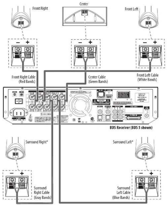 Front Right Center Front Left - + - + - + Front Right Cable (Red Bands) Center Cable (Green Bands) Front Left Cable (White Bands) Surround Right* Surround Right Cable (Gray Bands) BDS Receiver (BDS 5 shown) Surround Left* Surround Left Cable (Blue Bands)