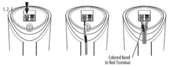 1.2.3 Colored Band to Red Terminal