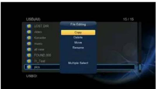 USB(All) 15 / 15 File Editing Copy Delete Move Rename Multiple Select LOST_DIR rkden Karaoke music all new FOUND 000 FIL_Test pics USB/D