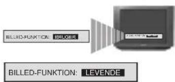 SONY KV-25FX20E - Hurtig skift til billedfunktion - 5