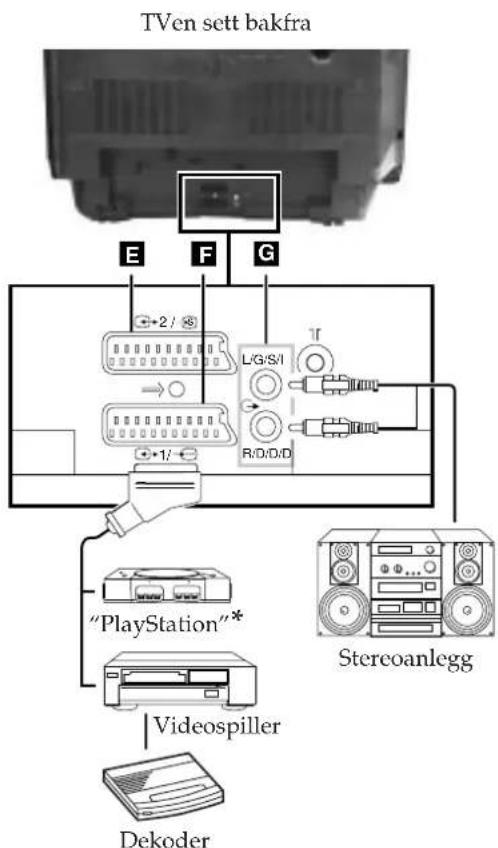 SONY KV-25FX20E - Koble til dekoder - 2