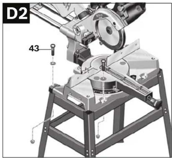 D2 43