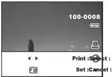 100-0008 Print: Select: Set: Cancel: