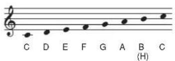 C D E F G A B C (H)