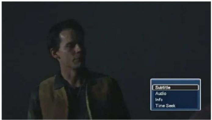 Subtitle Audio Info Time Seek