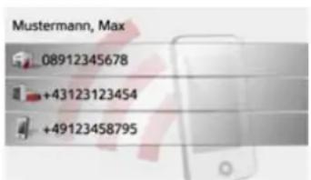 Mustermann, Max 08912345678 +43123123454 +49123458795