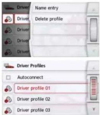 Driver Name entry Delete profile Driver Driver Driver Driver Profiles Autoconnect Driver profile 01 Driver profile 02 Driver profile 03
