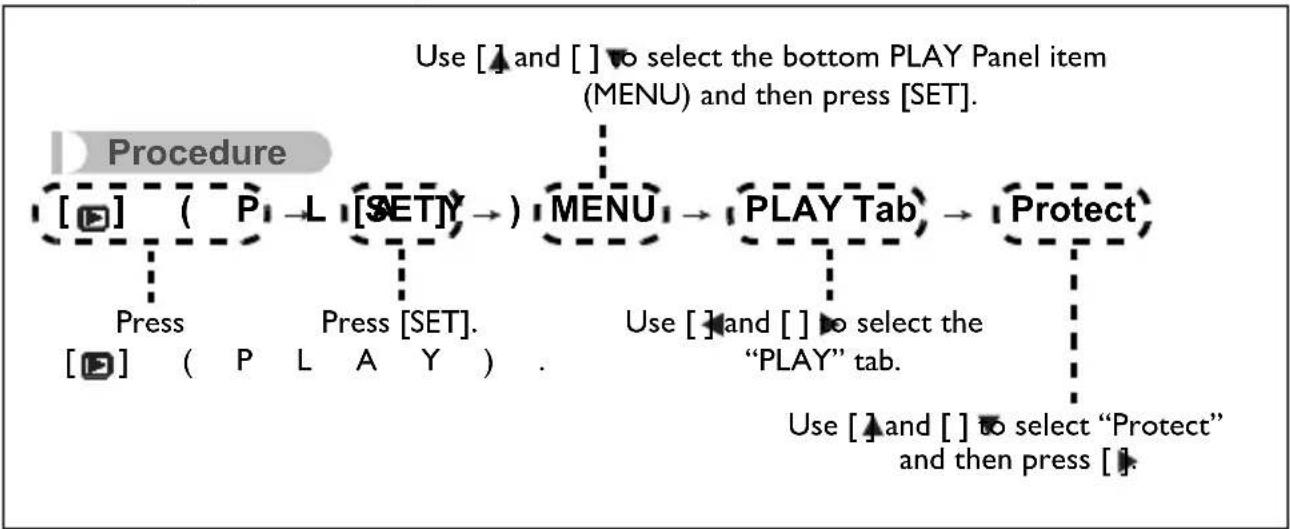 BENQ GH200 - Using the PLAY Panel - 7
