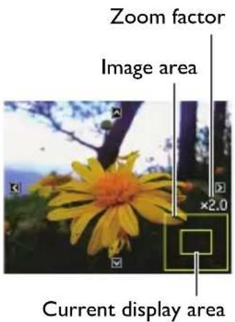 Zoom factor Image area ×2.0 Current display area
