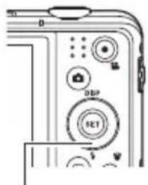 Diagram of a camera module with labeled buttons including DSP, SET, and control panel