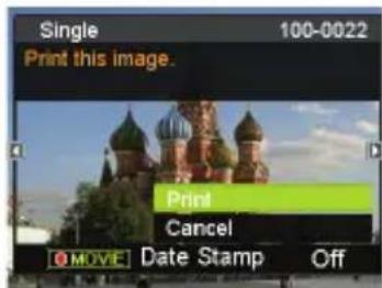 Single 100-0022 Print this image. Print Cancel MOVE Date Stamp Off