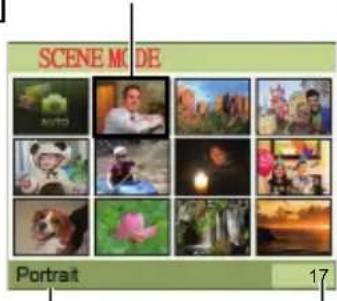 SCENE MODE Portrait