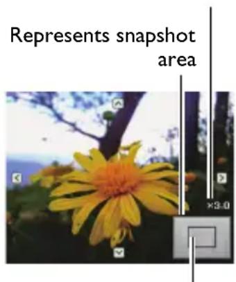 Represents snapshot area