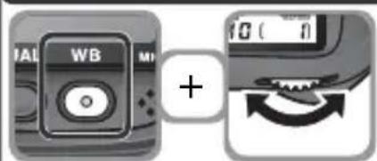 WB + 10 ( 1 )