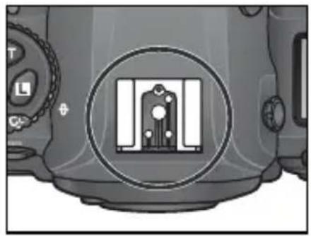 NIKON D2H - アクセサリーシュー - 1