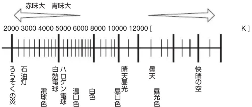 NIKON D2H - 色温度について - 1