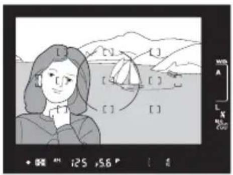 NIKON D2H - c2 : AE/AFロックボタンの機能 (P.228) - 1