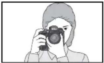 NIKON D2H - ステップ3:構図を決める - 1