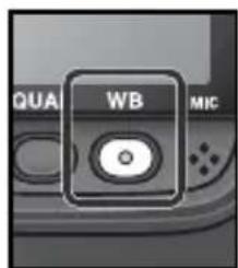 QUAL WB MIC