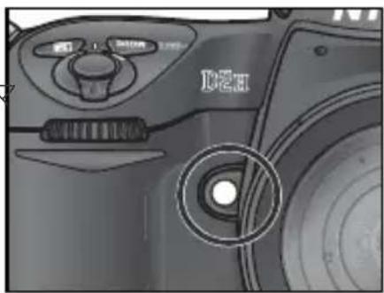 NIKON D2H - 被写界深度のプレビュー - 1