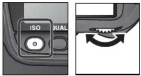 ISO QUAL