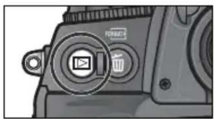 NIKON D2H - 基本的な再生 - 1