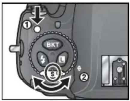 NIKON D2H - 2 - 1