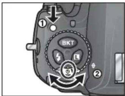 NIKON D2H - セルフタイマー撮影 - 2