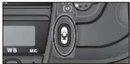 NIKON D2H - 撮影時の手動録音 - 1