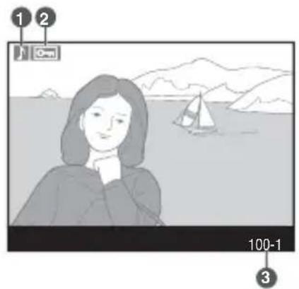 NIKON D2H - ページ1 - 1