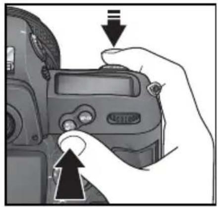 NIKON D2H - シングルAFサーボ(AF-S)の場合 - 1