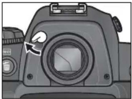 NIKON D2H - セルフタイマー撮影 - 4